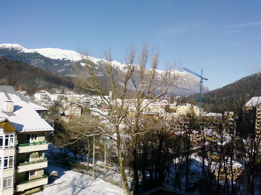 Mountain View Nest Apartment Синая Екстериор снимка